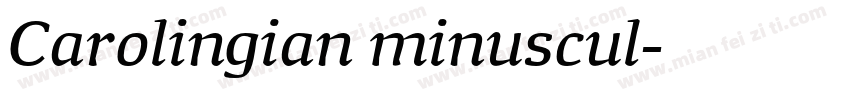 Carolingian minuscul字体转换